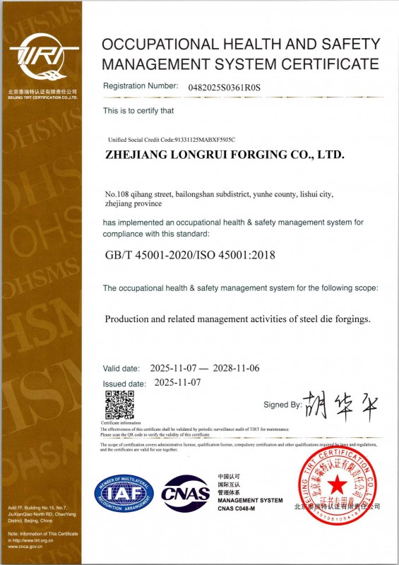   45001职业健康安全管理-英文